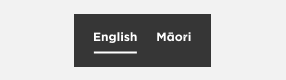Global language toggle set to English
