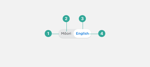 Local language toggle anatomy