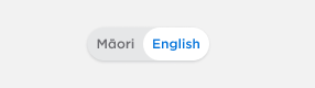 Local language toggle set to English