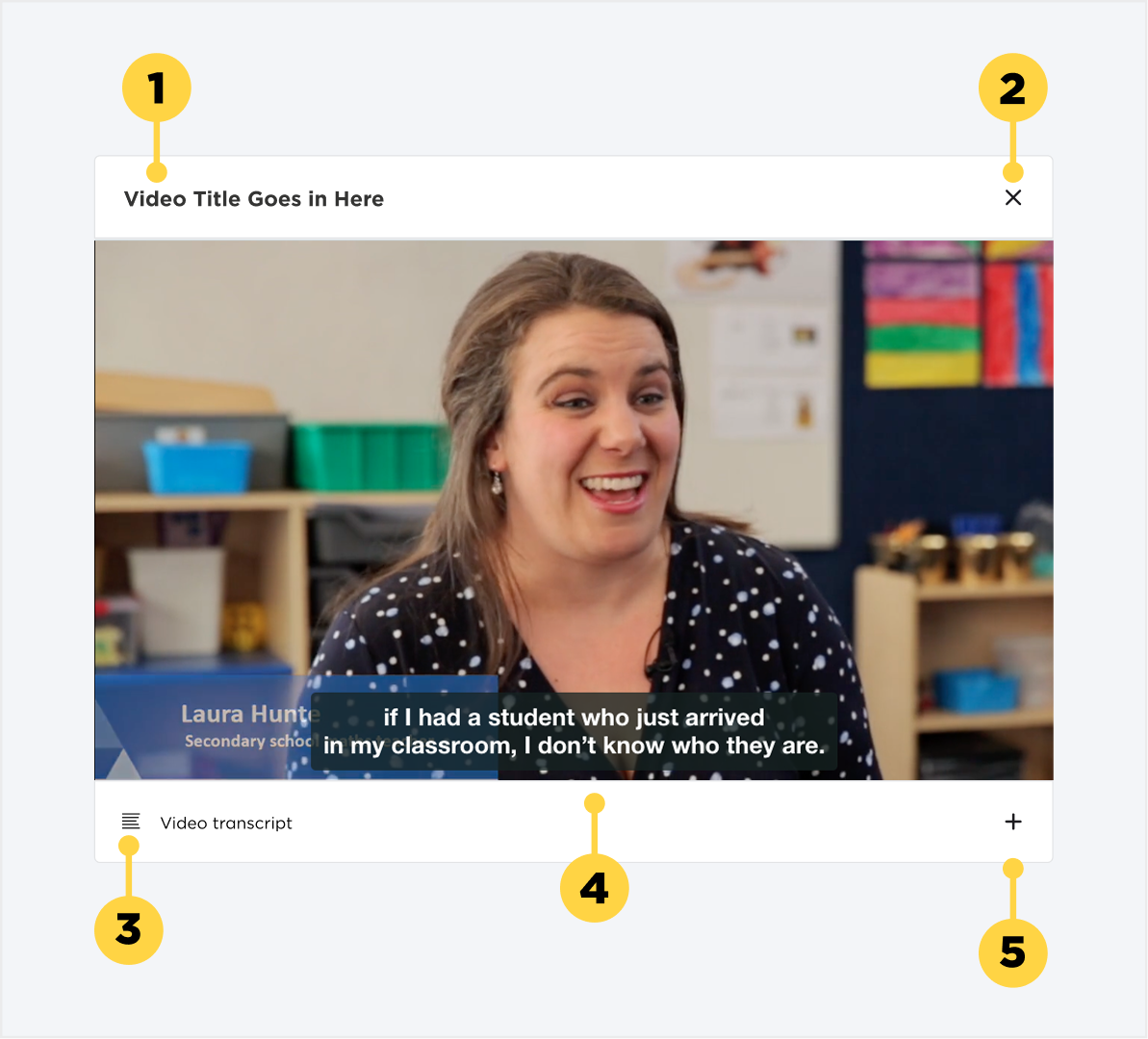 video in an open state showing anatomy